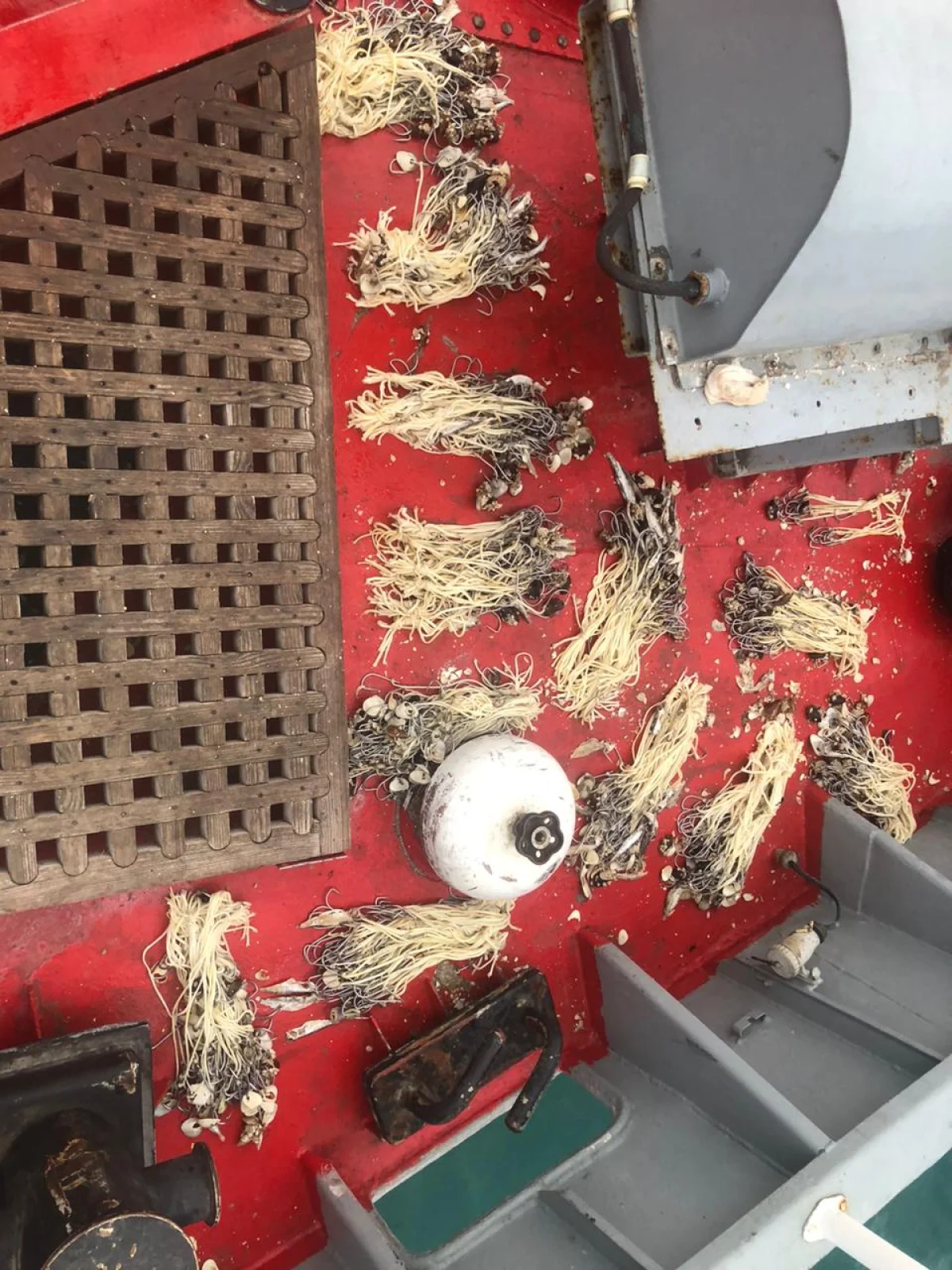 Фото: департамент ПС КНБ РК