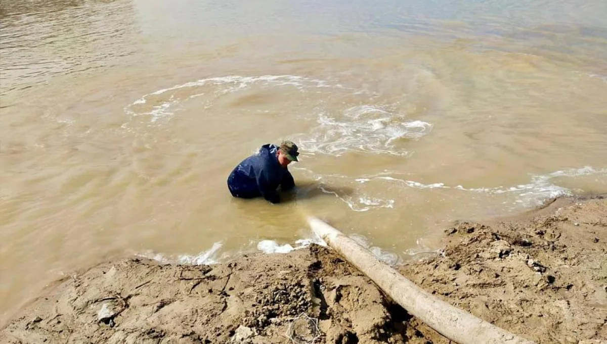 Фото из открытых источников