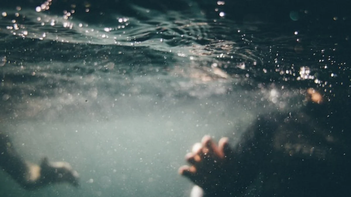 Фото из открытых источников