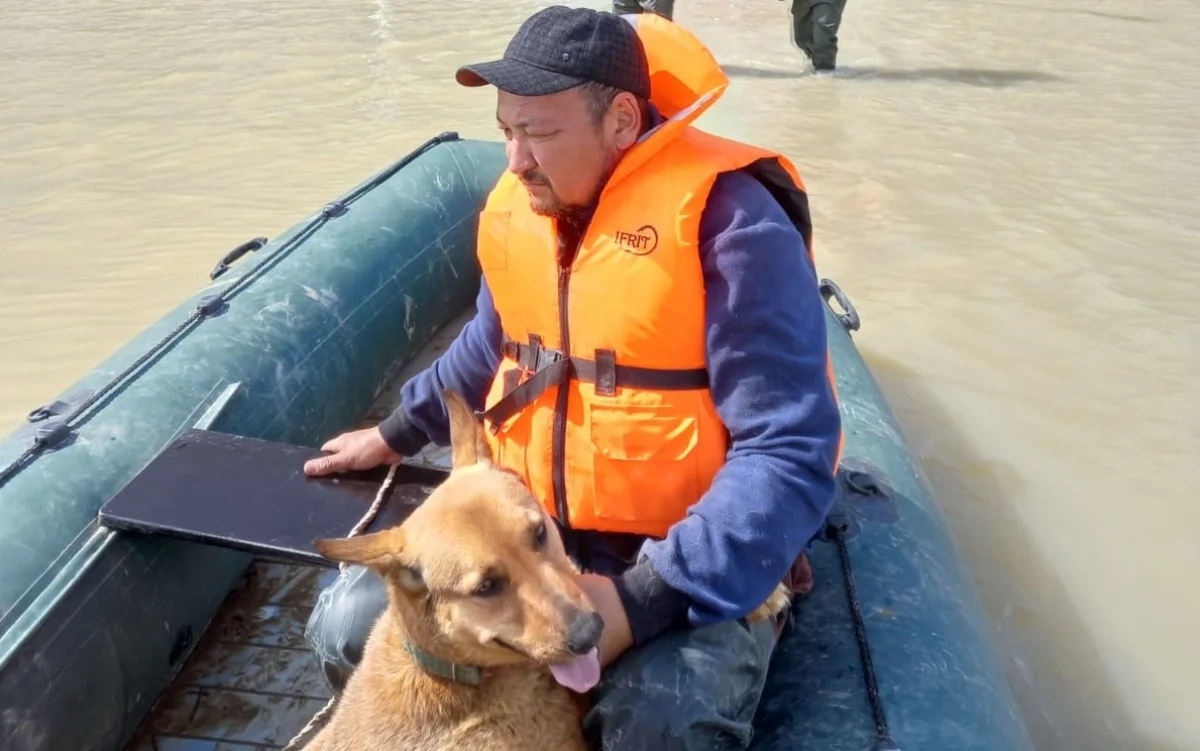 Фото центре общественных коммуникаций