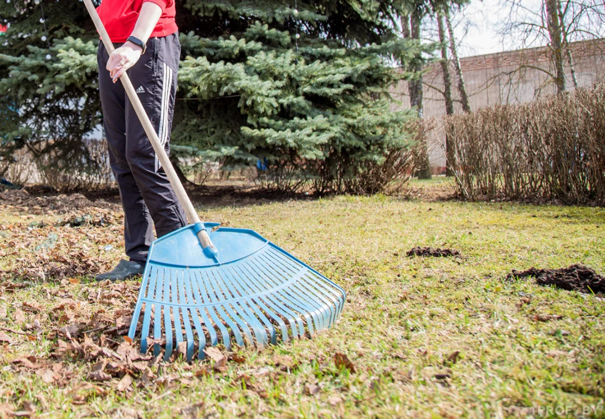 Фото с сайта prodelo.by