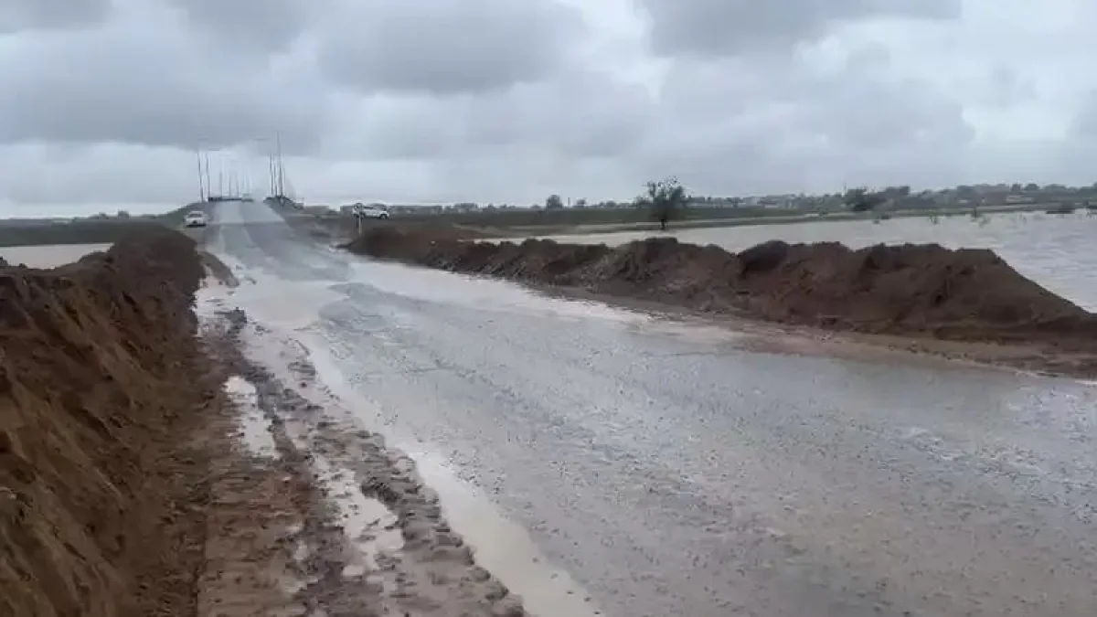 Фото: скриншот видео