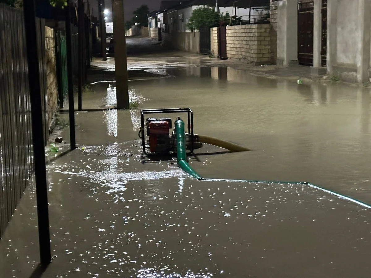 Фото: Мунайлинский районный акимат