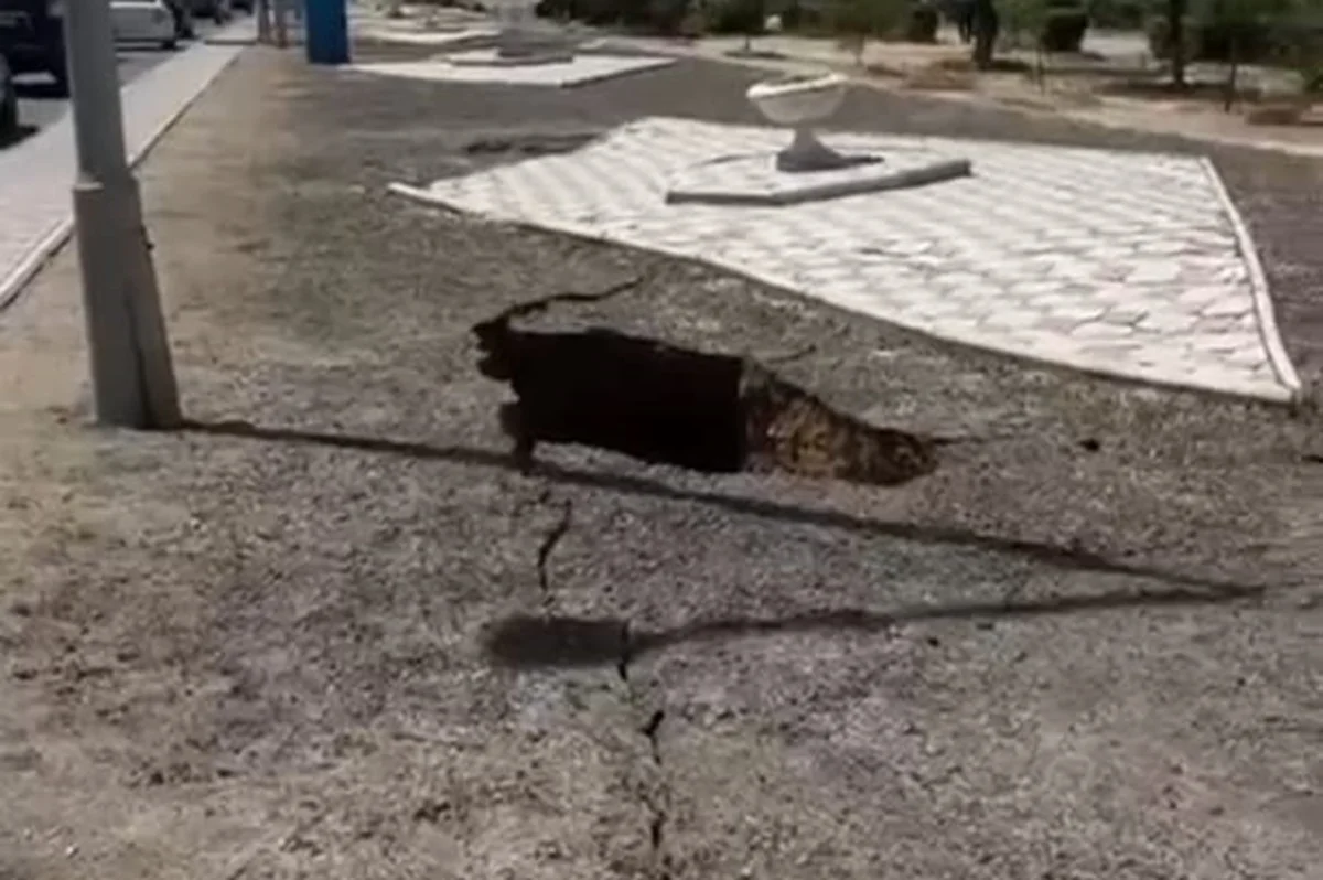 стоп кадр из видео