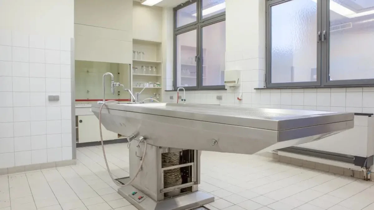 Фото: depositphotos.com