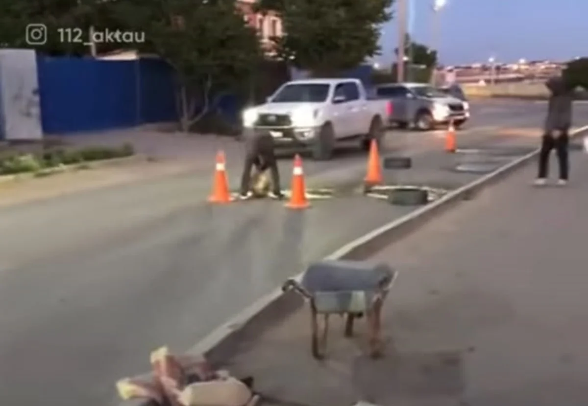 стоп кадр из видео