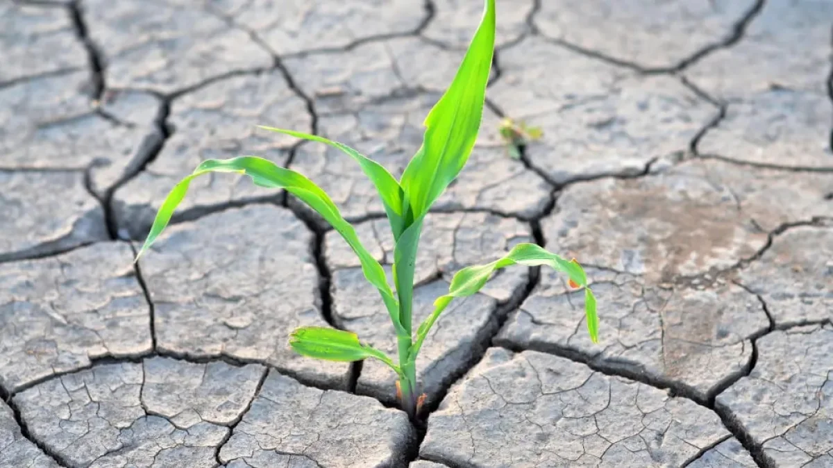 Фото: depositphotos.com