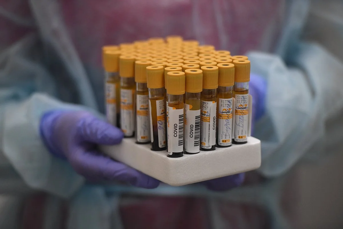 Фото из открытых источников