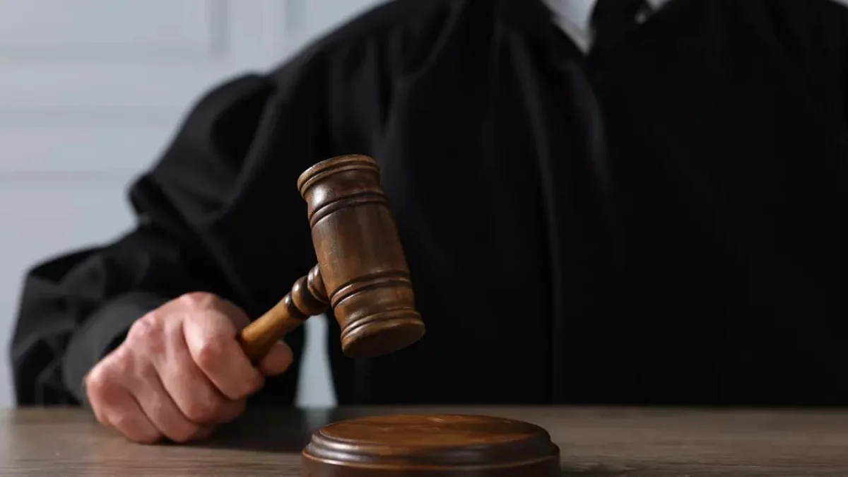 фото: Liudmila Chernetska/Getty Images