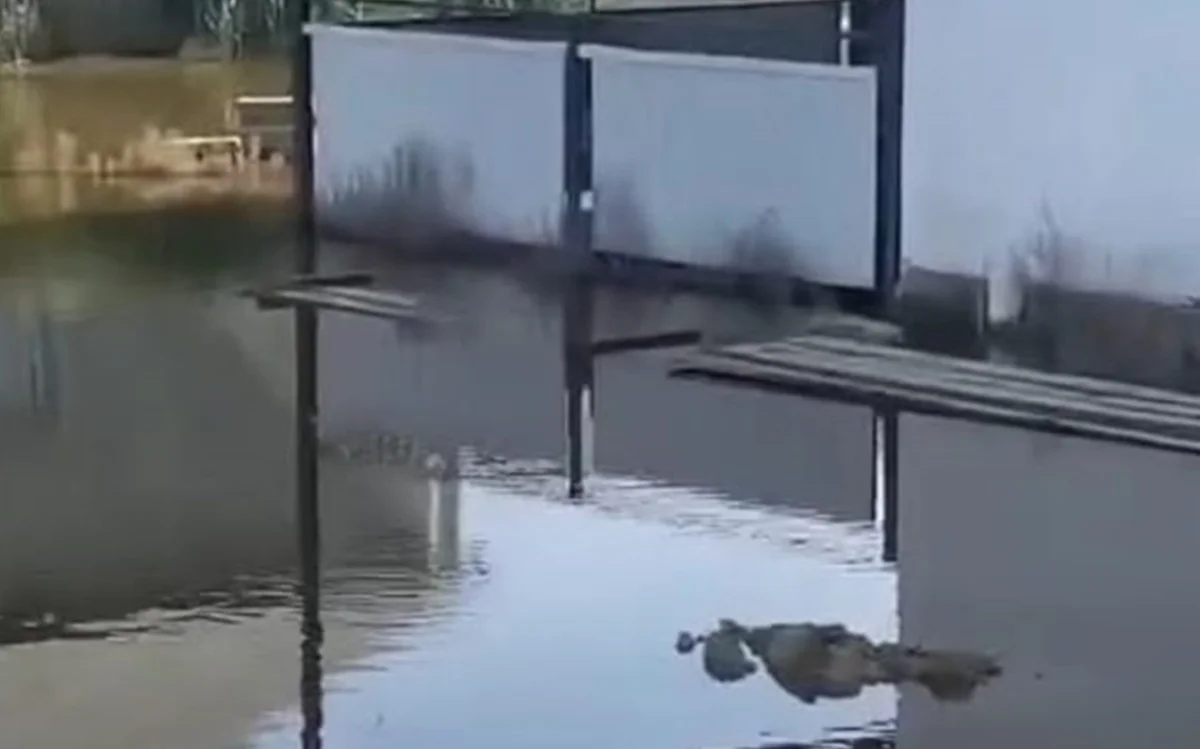 фото прислано жителями