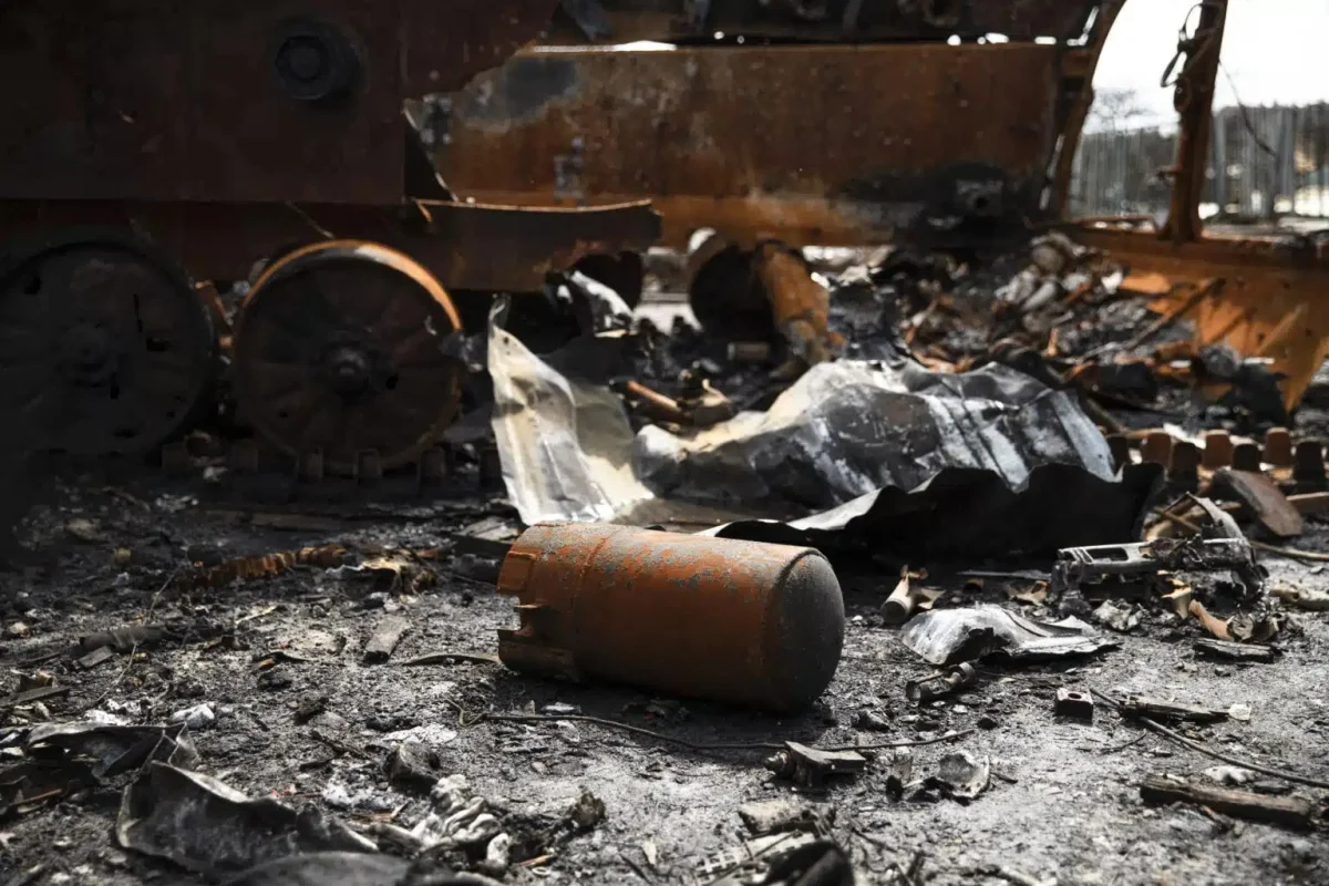 Фото из открытых источников