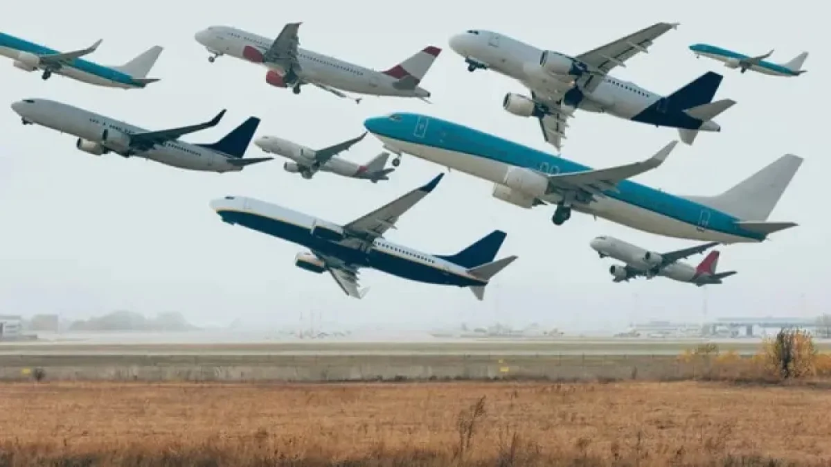 Фото:depositphotos.com/Андрей Лозовый