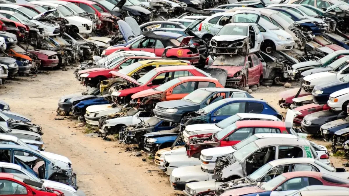 Фото: depositphotos.com