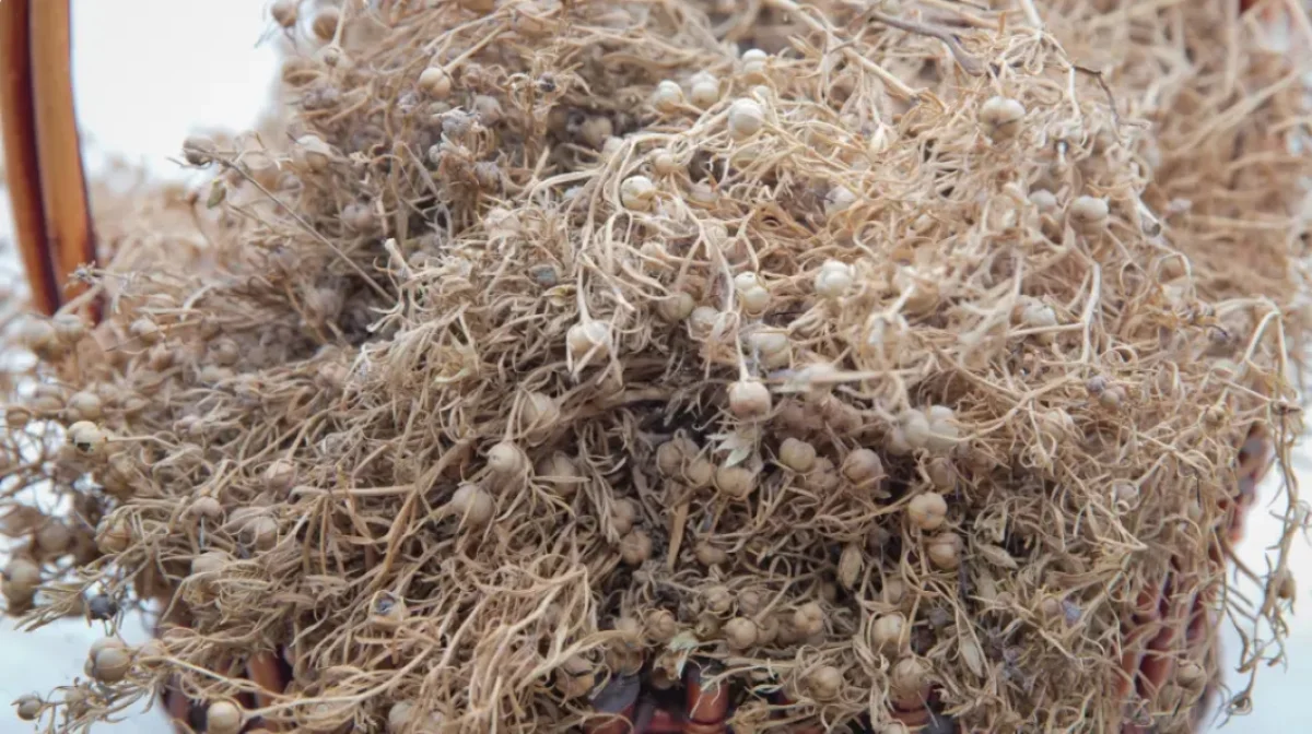 Фото:depositphotos.com