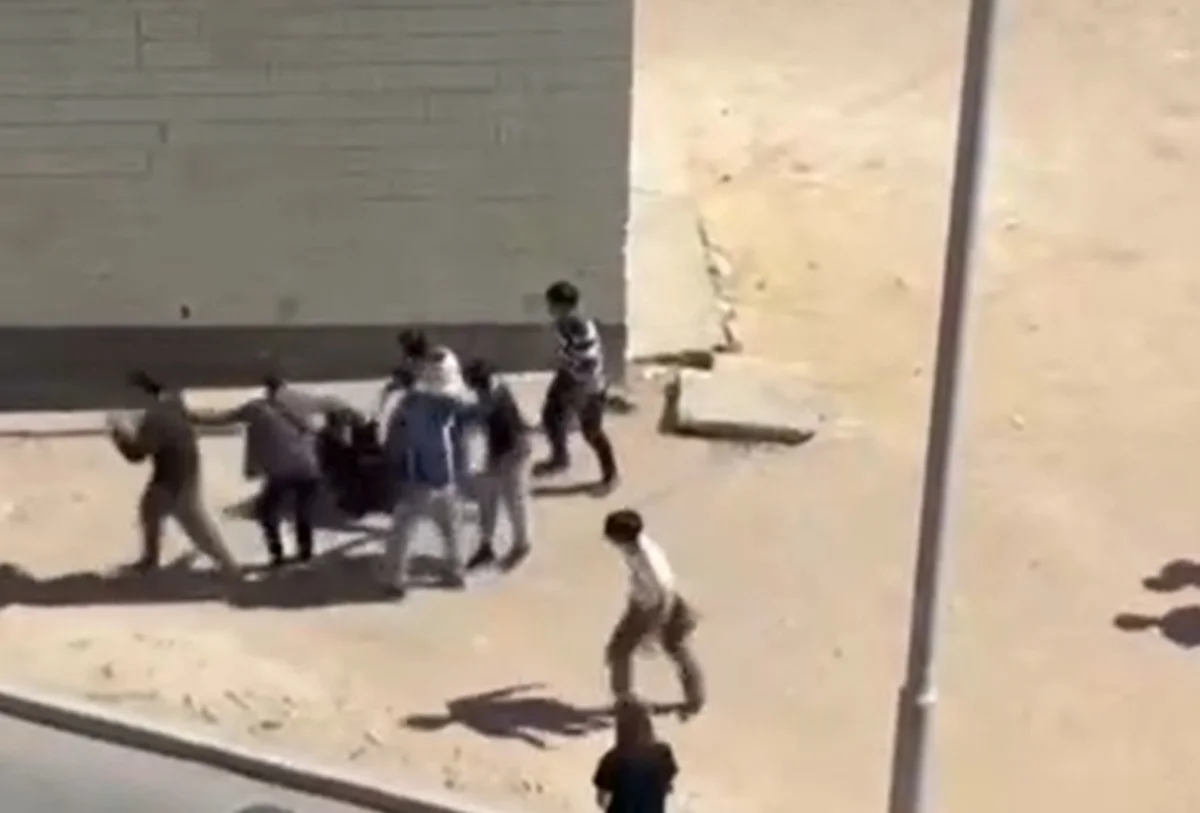 Фото: кадр из видео