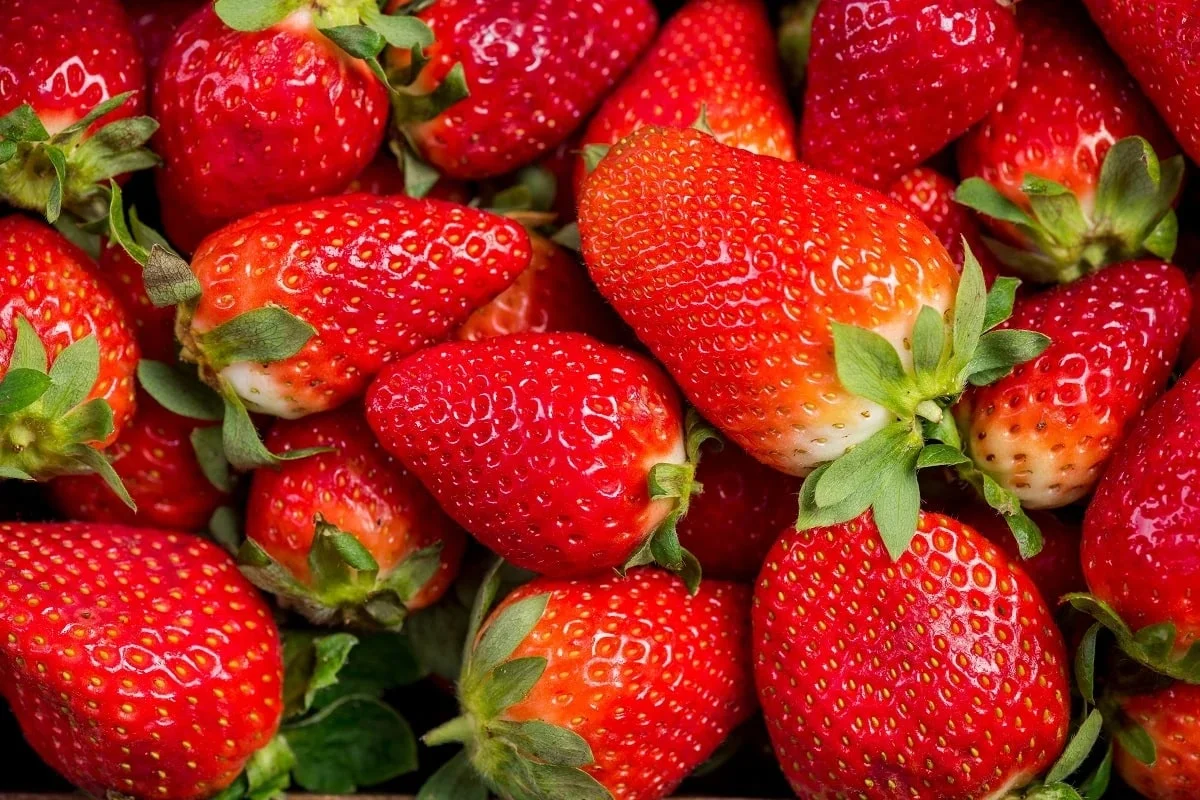 Фото: elements.envato.com