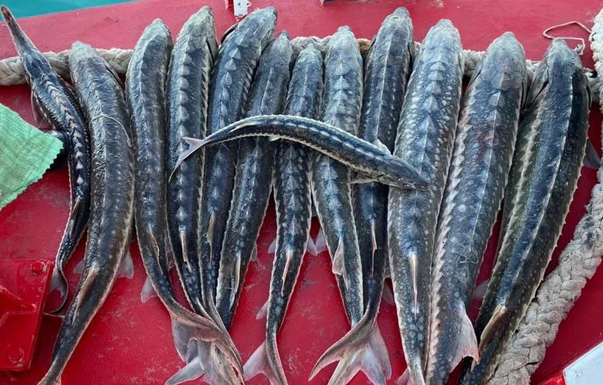 Фото предоставили в КНБ РК