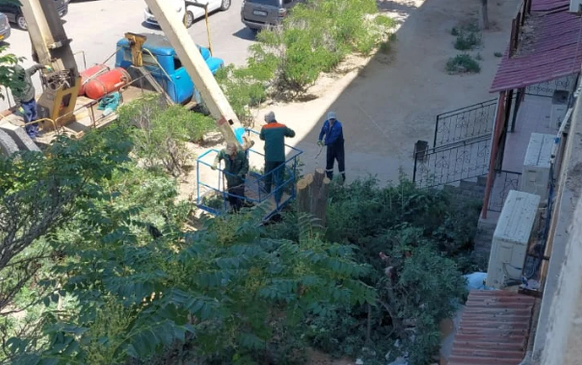 Фото жителей дома №1 в 27 микрорайоне