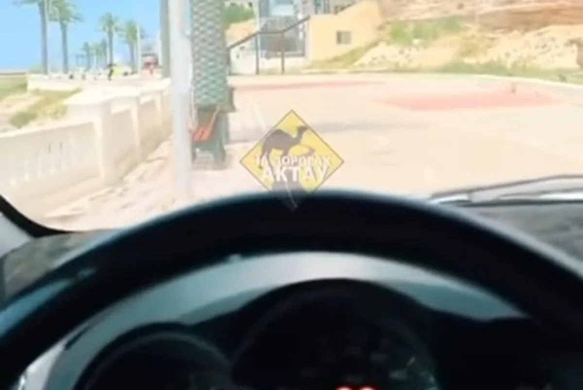 стоп кадр из видео