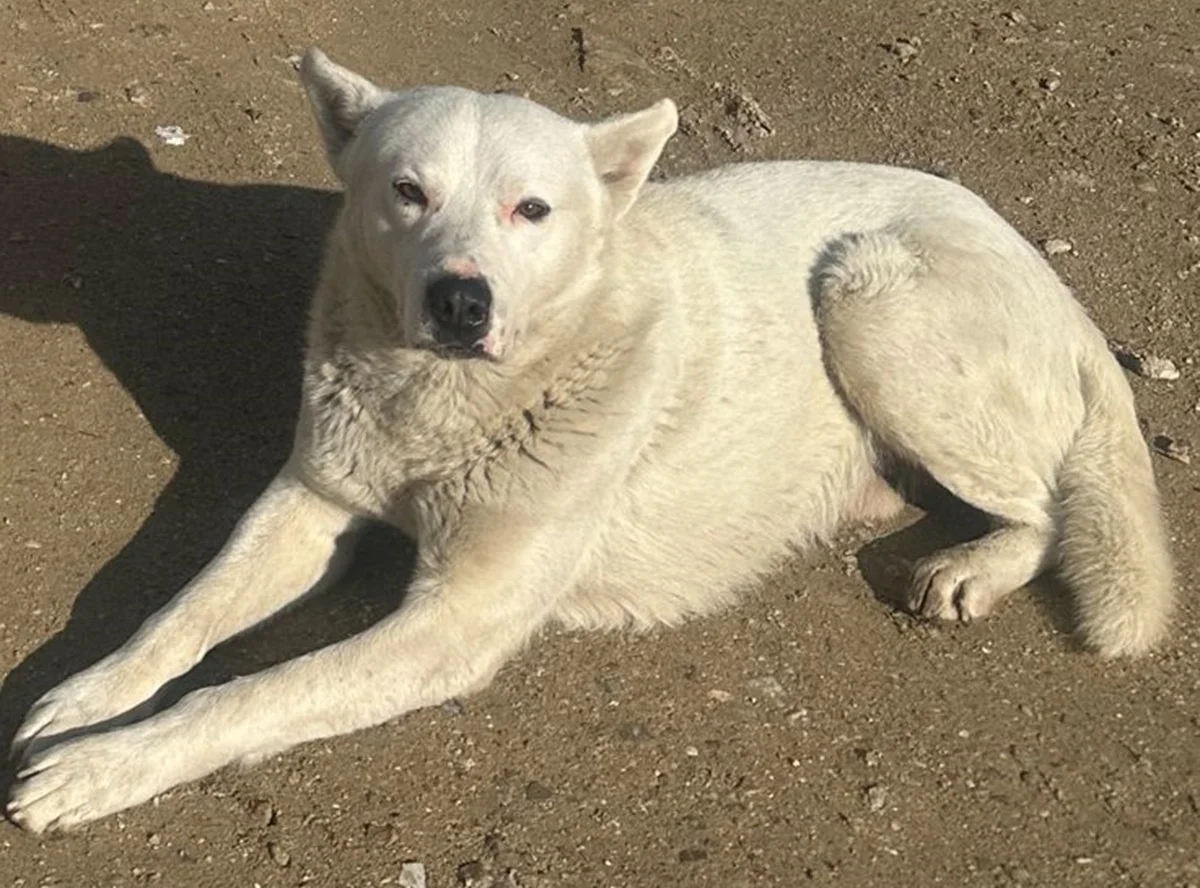 фото жителей 1 мкр