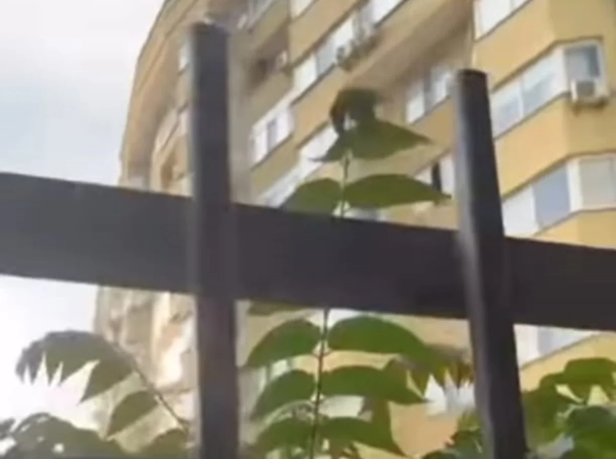 стоп кадр из видео