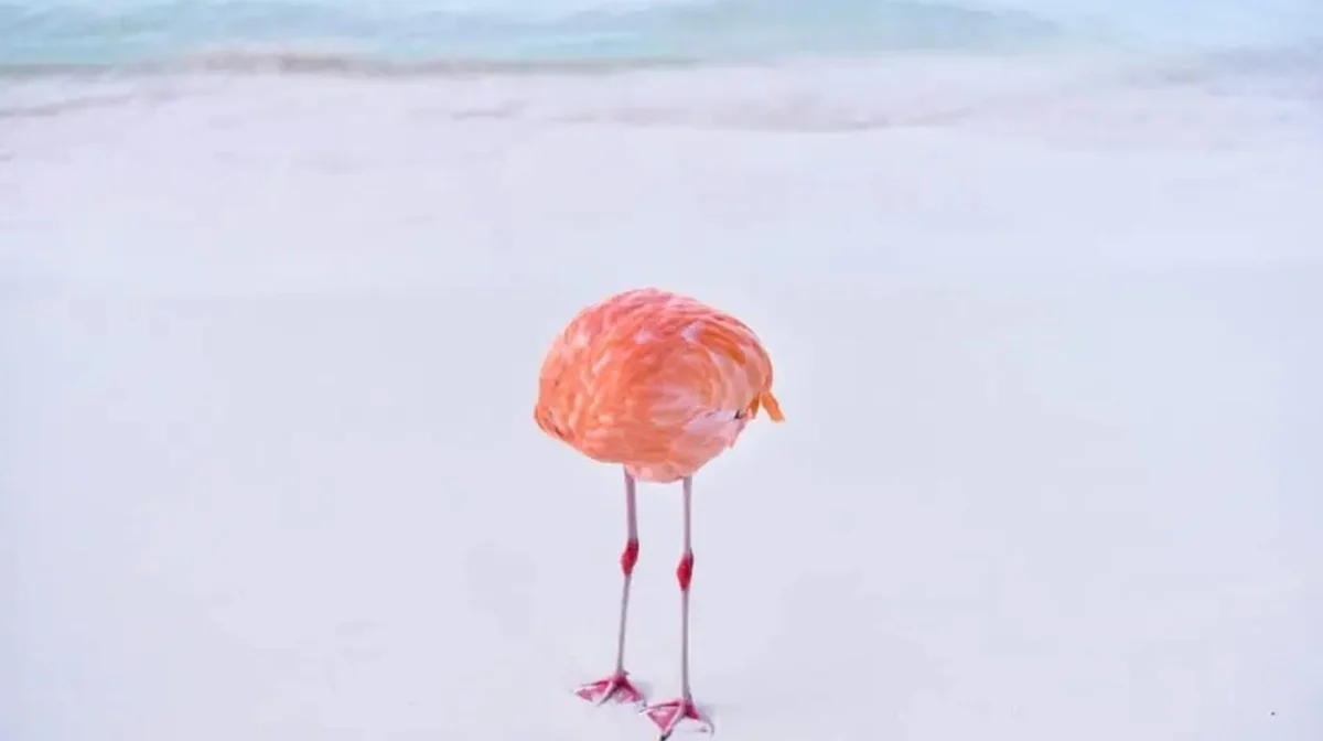 Фото: © Miles Astray