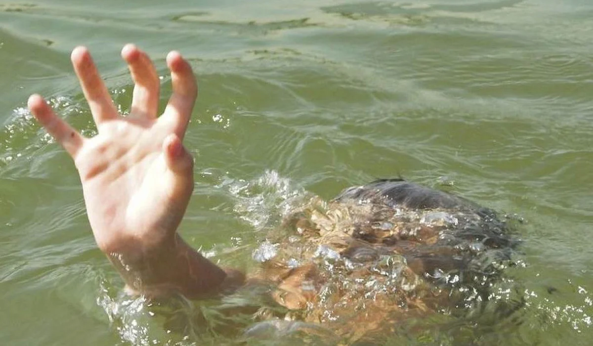 Фото: big-rostov.ru