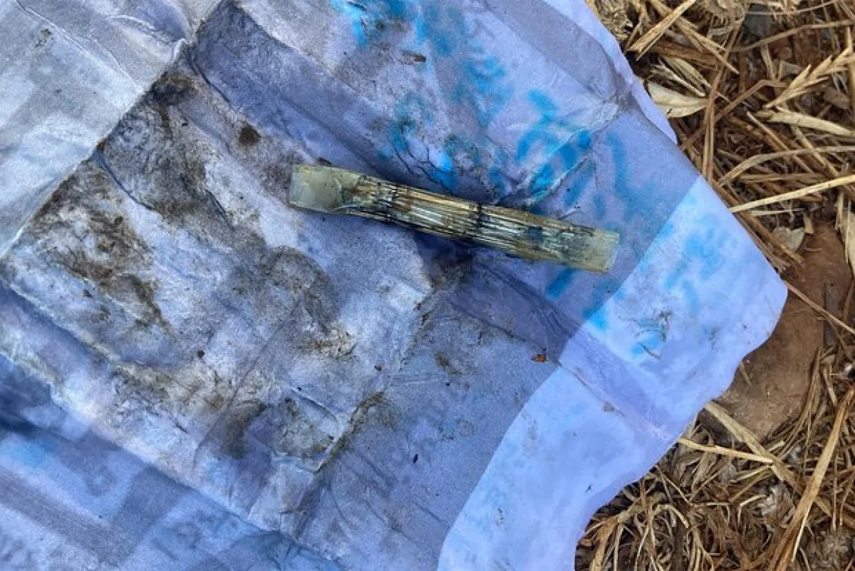 Фото: Weird / Reddit