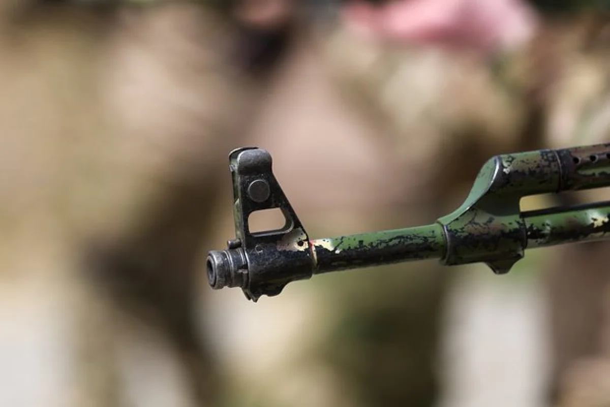 Фото: Alexey Belkin / news.ru / Globallookpress.com