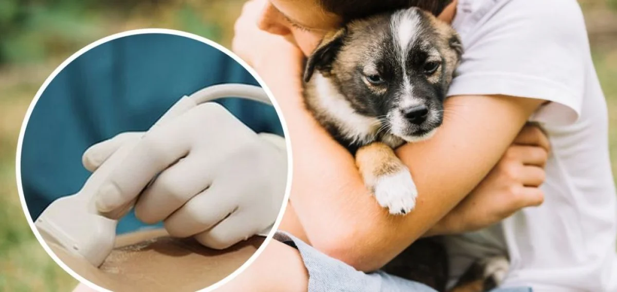 _фото из открытых источников