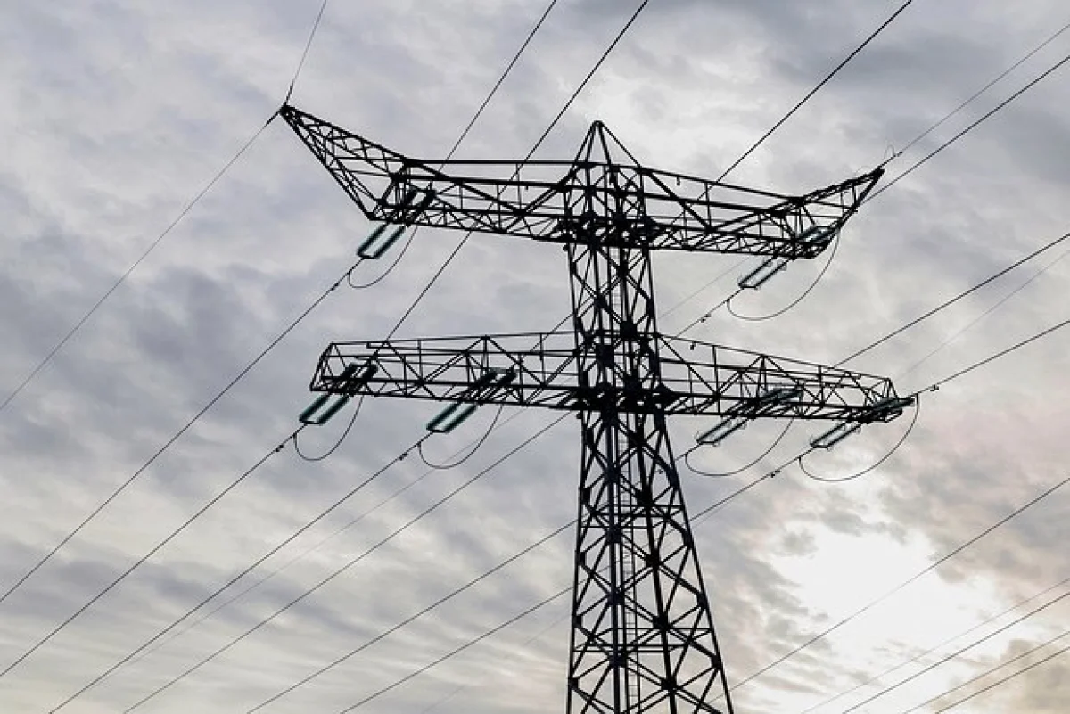 Фото: Piroschka van de Wouw / Reuters