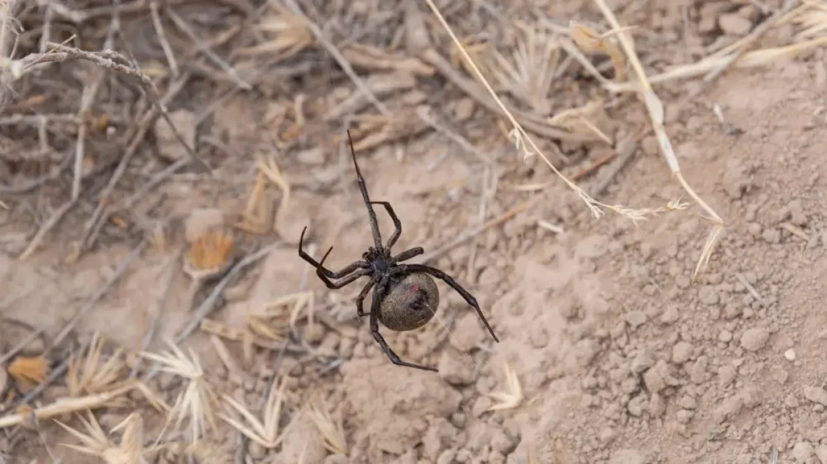 Фото: depositphotos.com