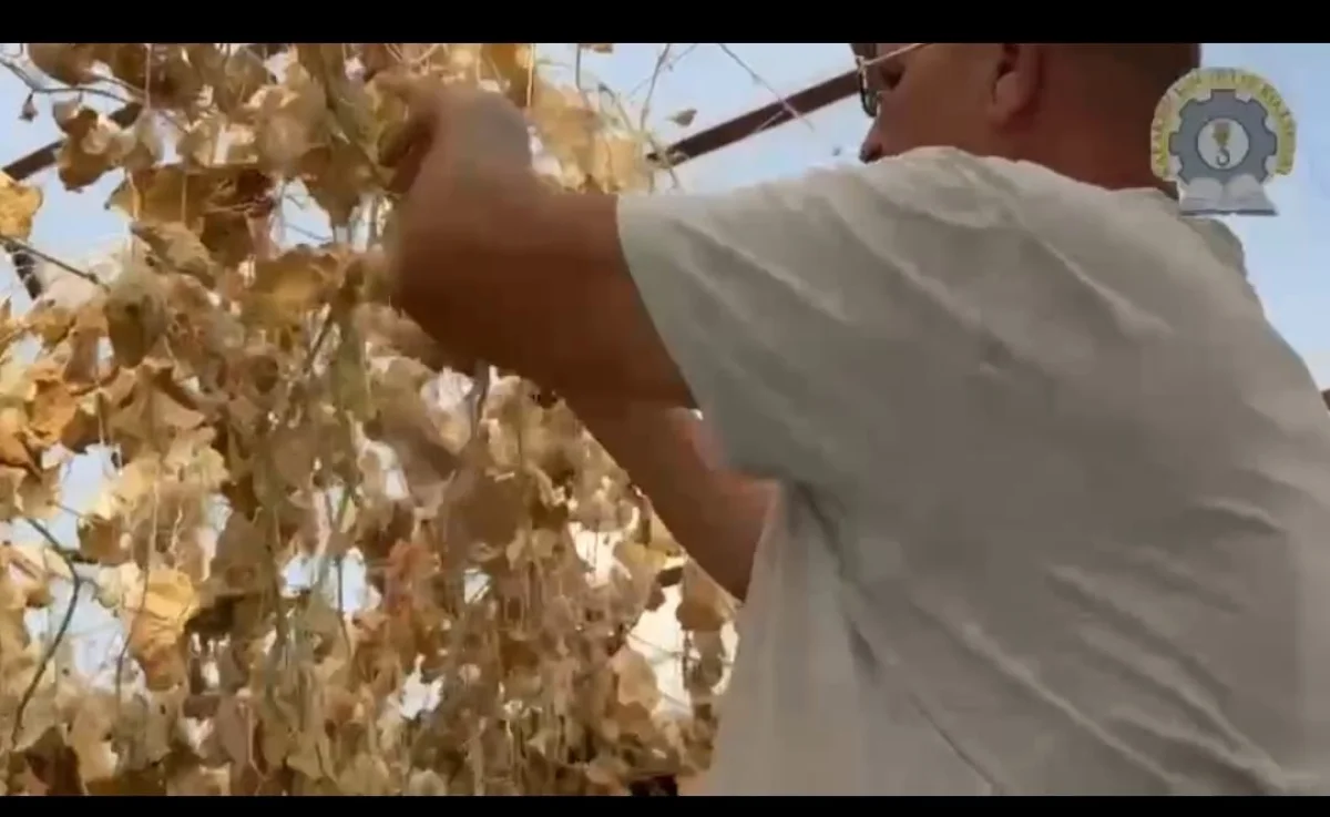 Фото предоставлено Центром общественных коммуникаций Мангистау