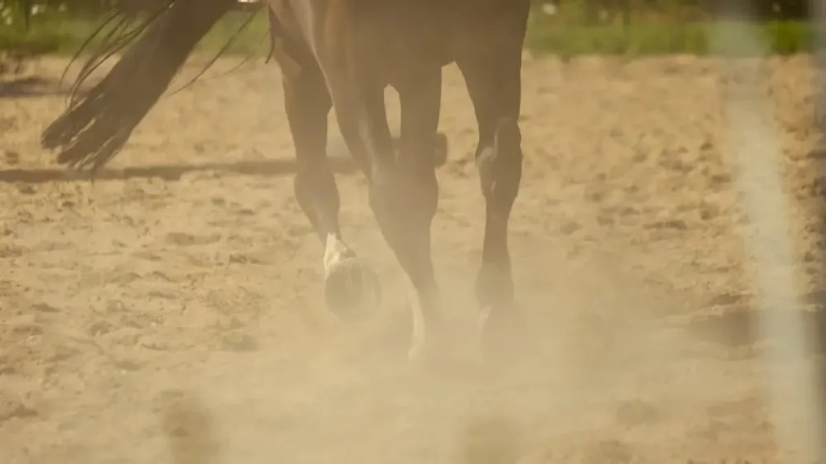 Фото: depositphotos.com