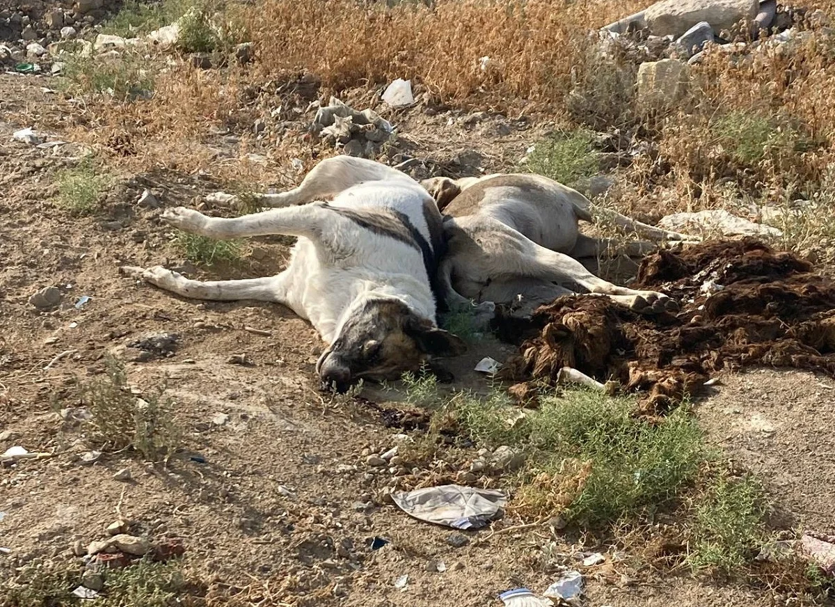 Фото жителя Актау