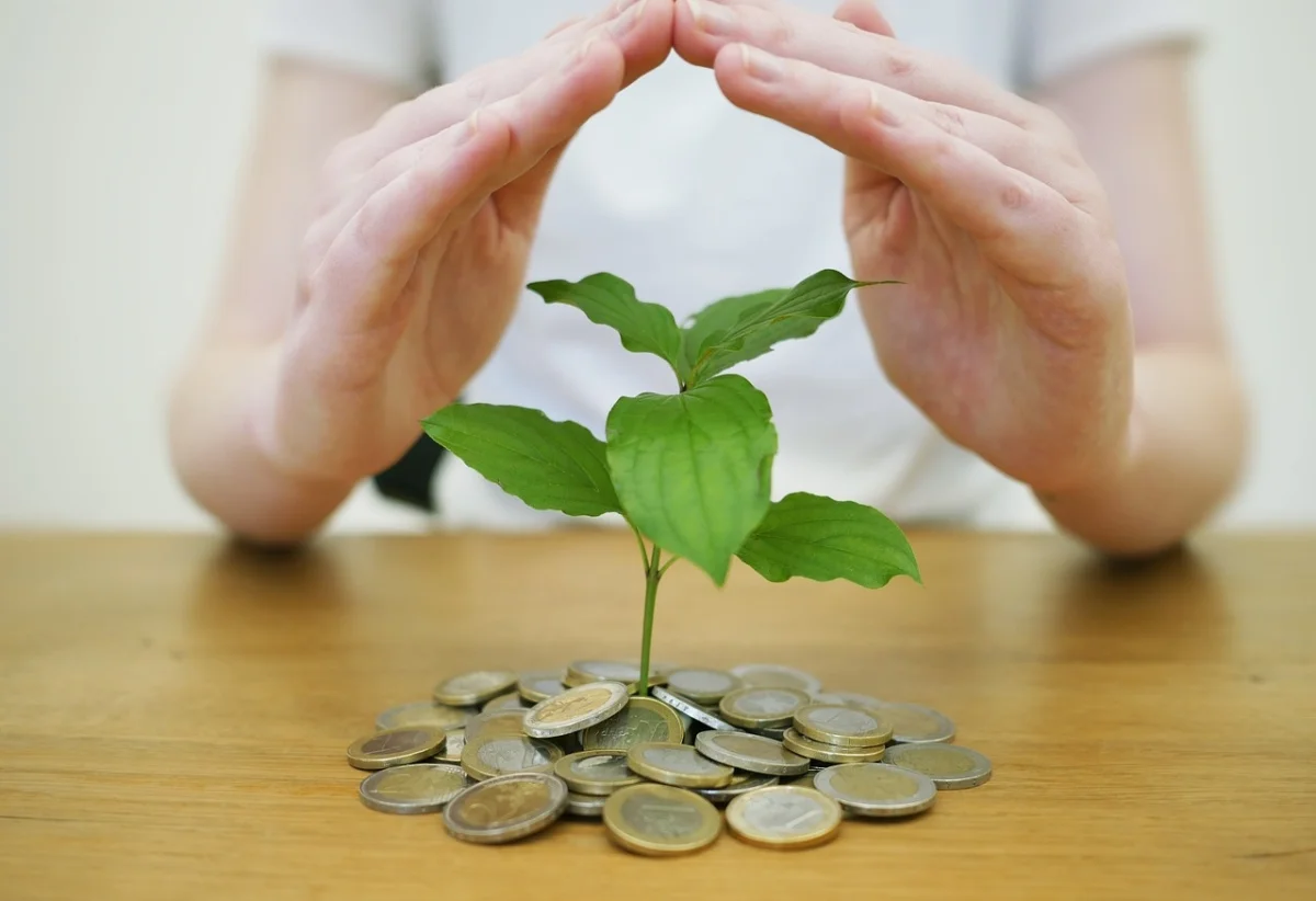 фото с сайта pixabay.com