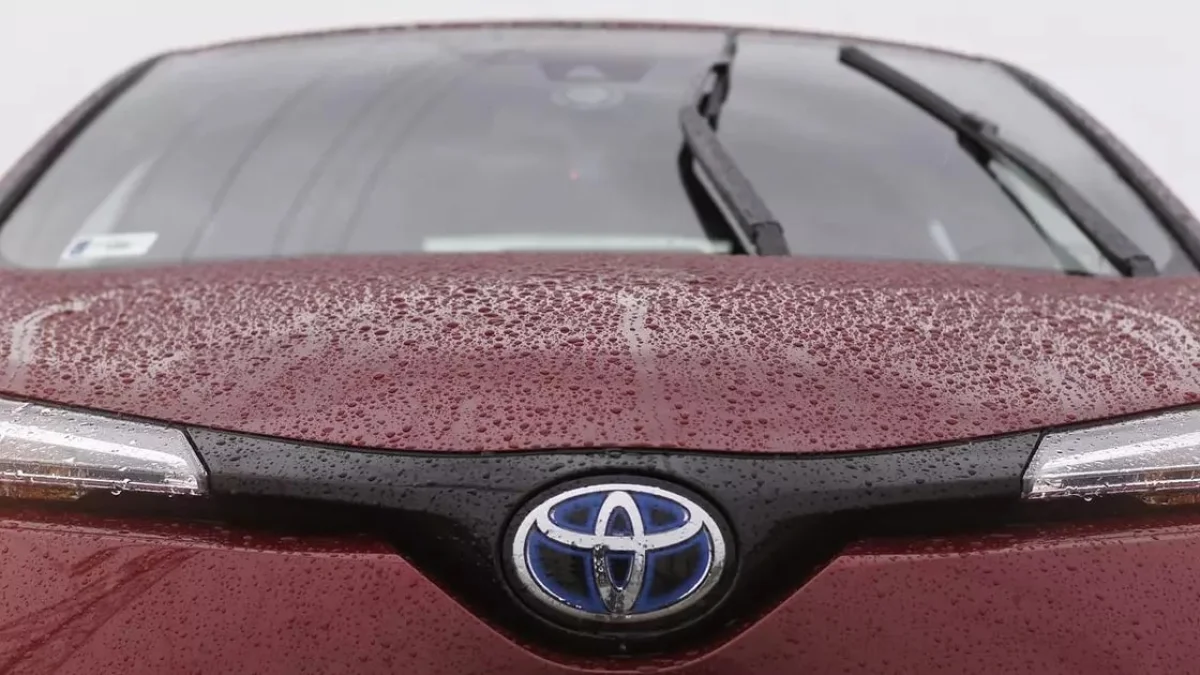 Иллюстративное фото: pixabay.com