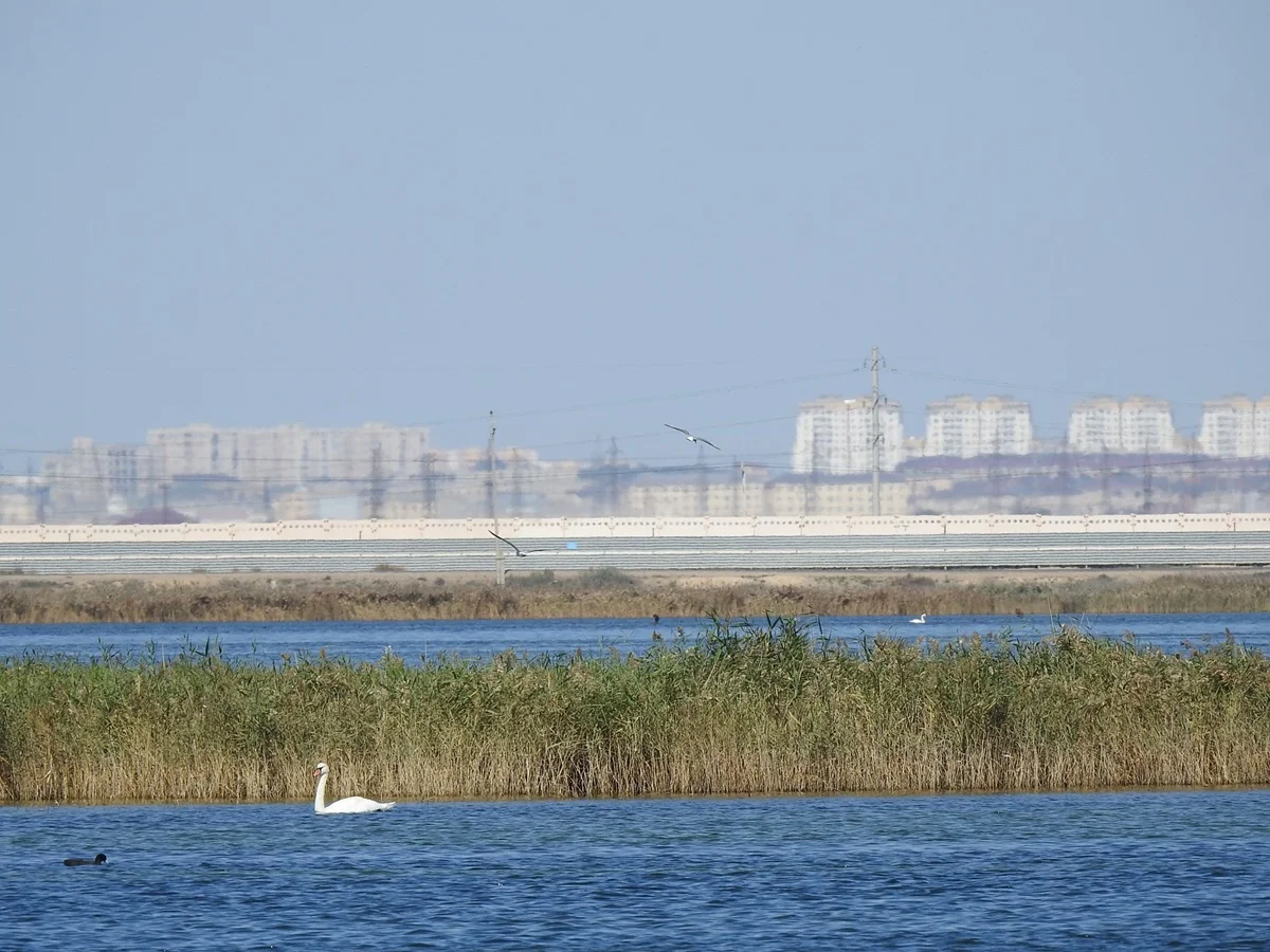Фото предоставлено Адильбеком Козыбаковым