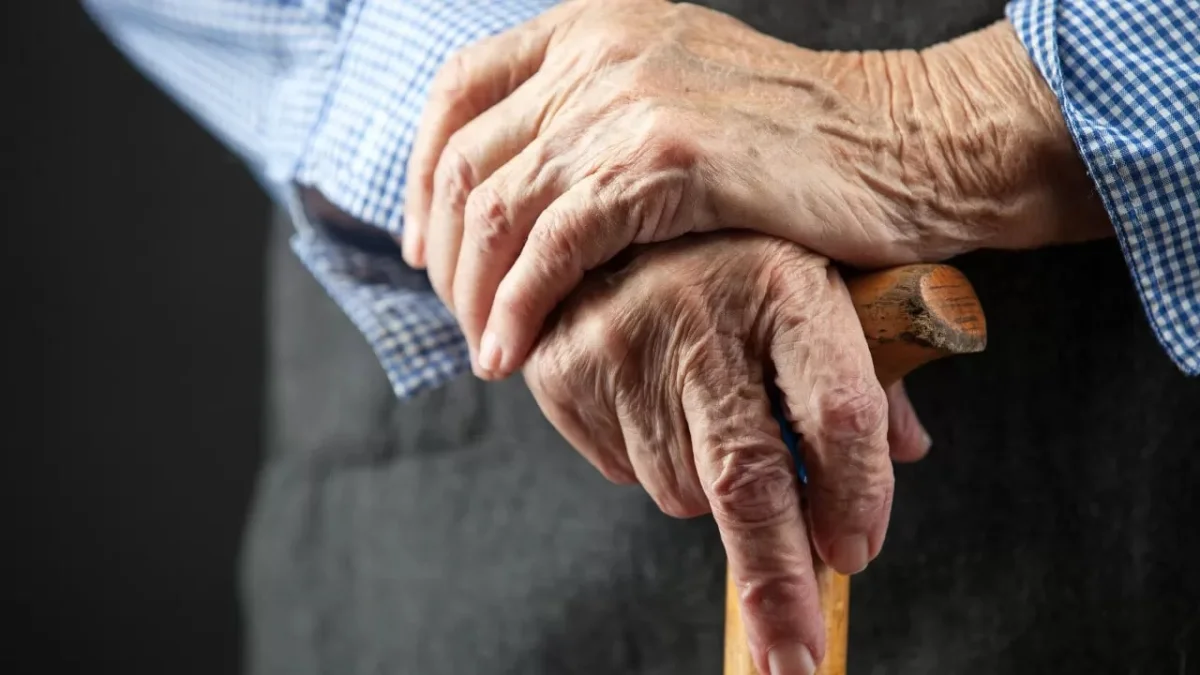 Фото: pixabay.com