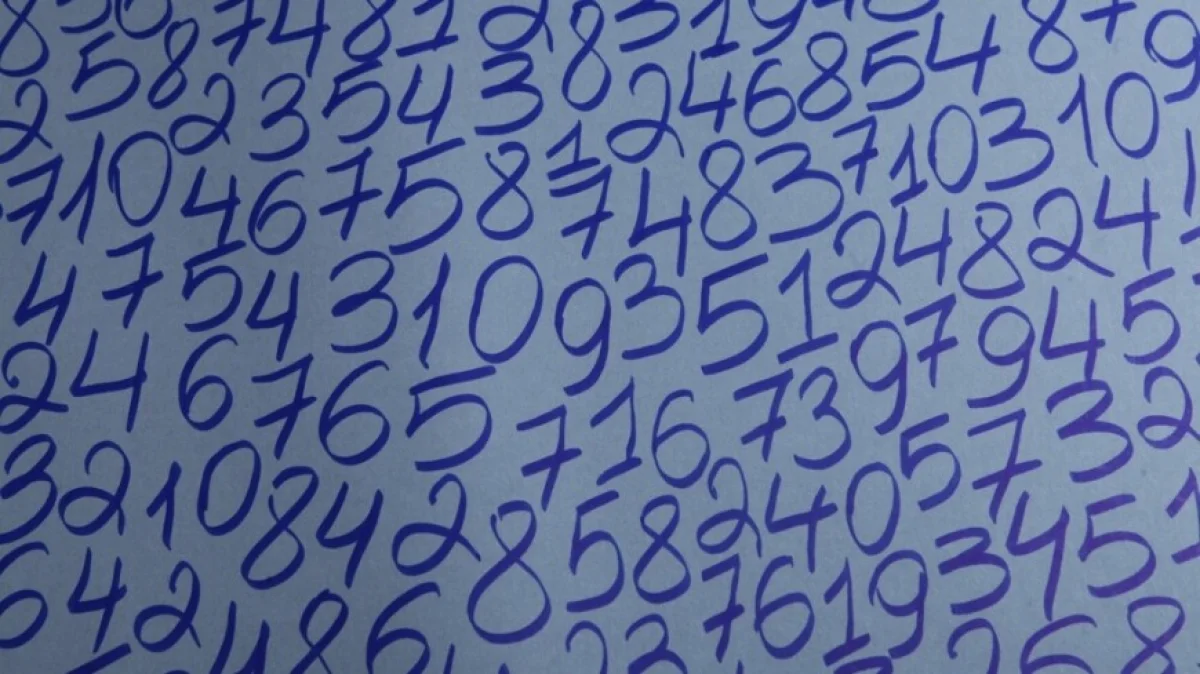 ФОТО : Shutterstock/FOTODOM