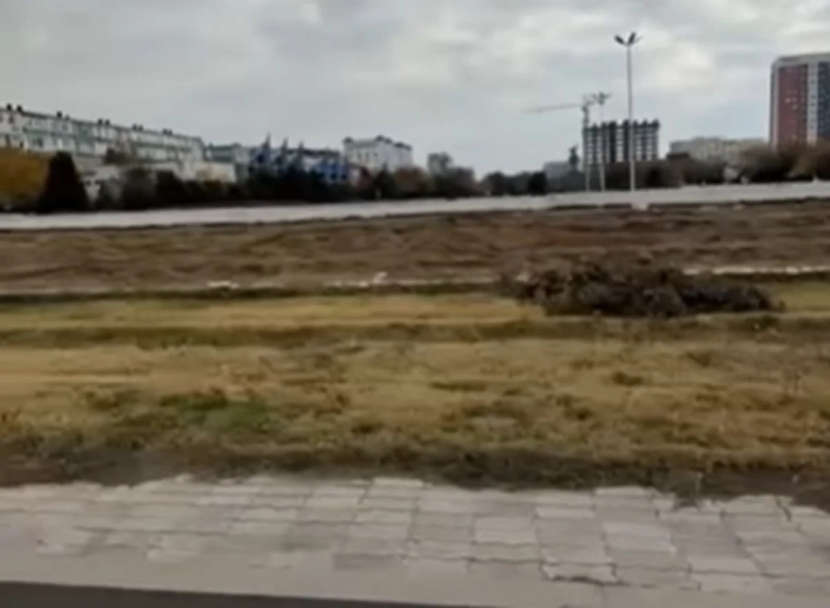 Фото: кадр из видео