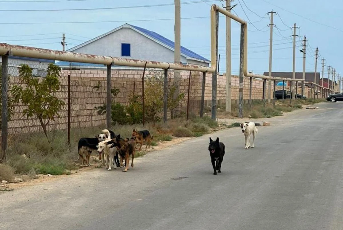 Фото жителей села Акшукур