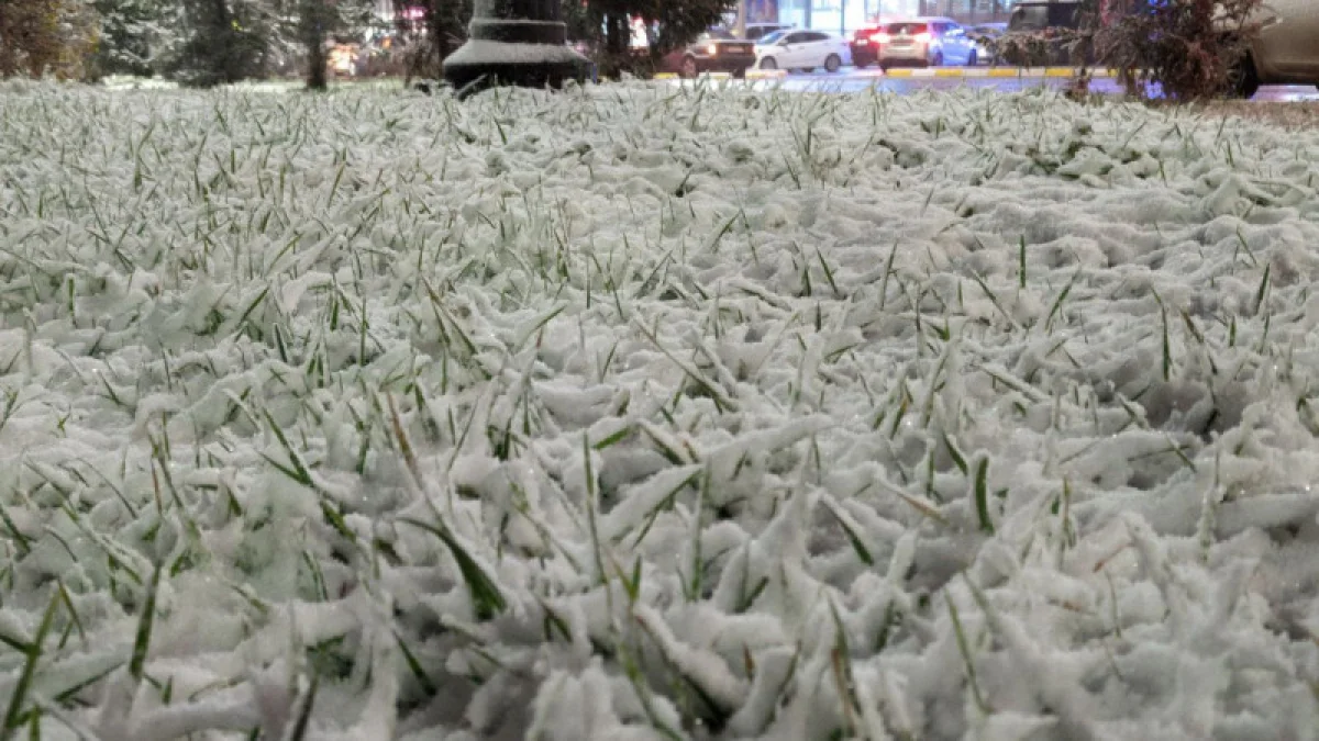 Фото pixabay.com