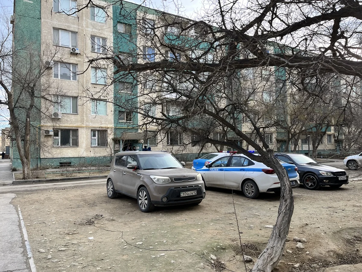 Использованные в материале фото – автора