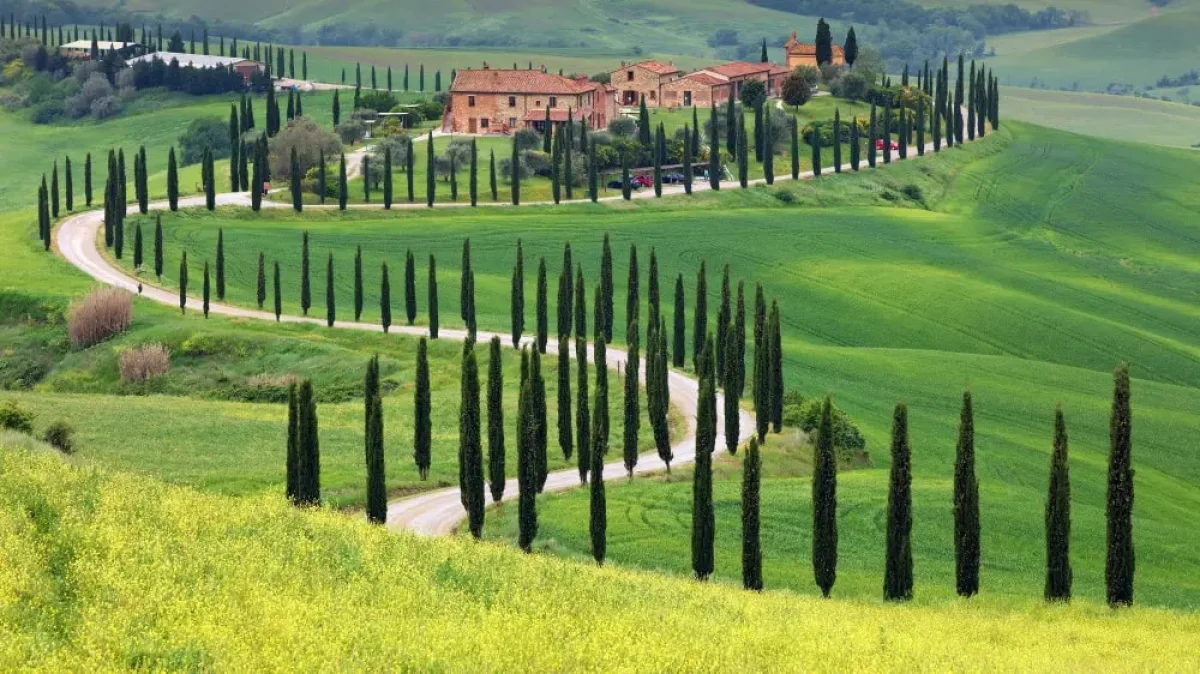 Фото: depositphotos.com