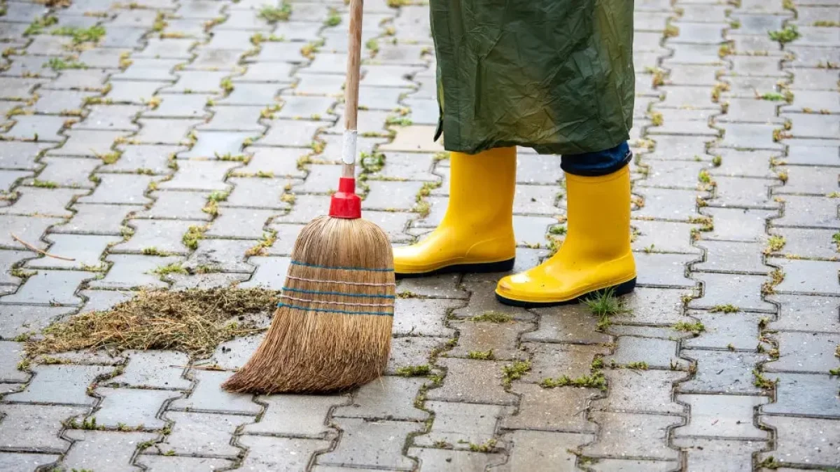 Фото: depositphotos.com