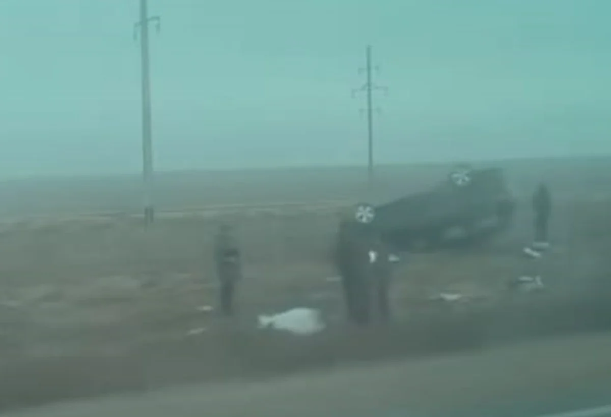 Фото: стоп кадр из видео