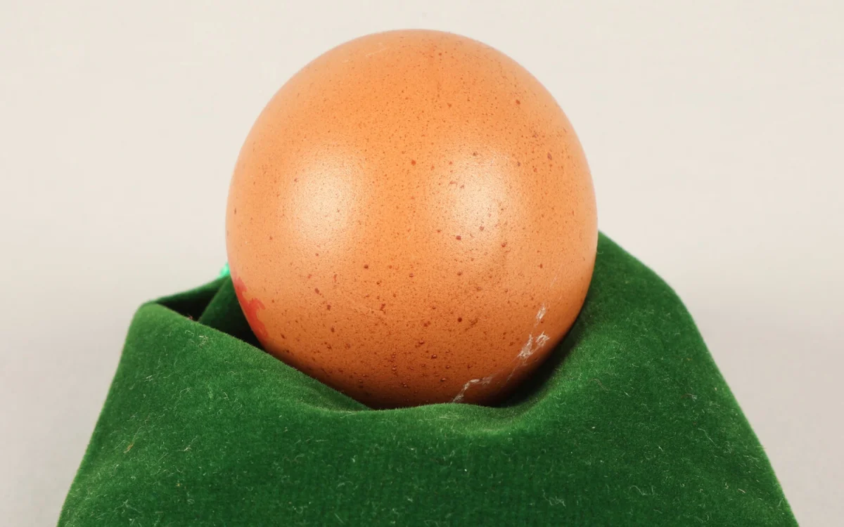 Фото:  Thomson Roddick Callan