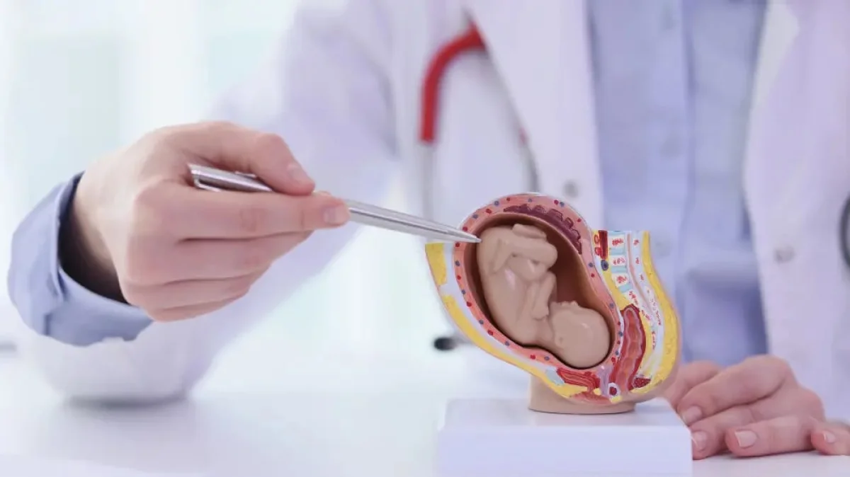 Фото: depositphotos.com