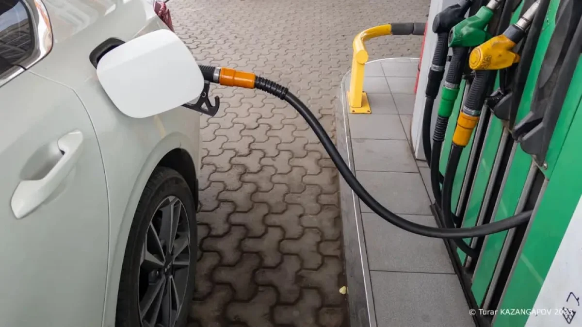 Фото ©️ Турар Казангапов